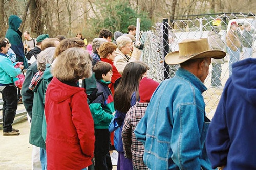 Citizens Gather to Watch the Move