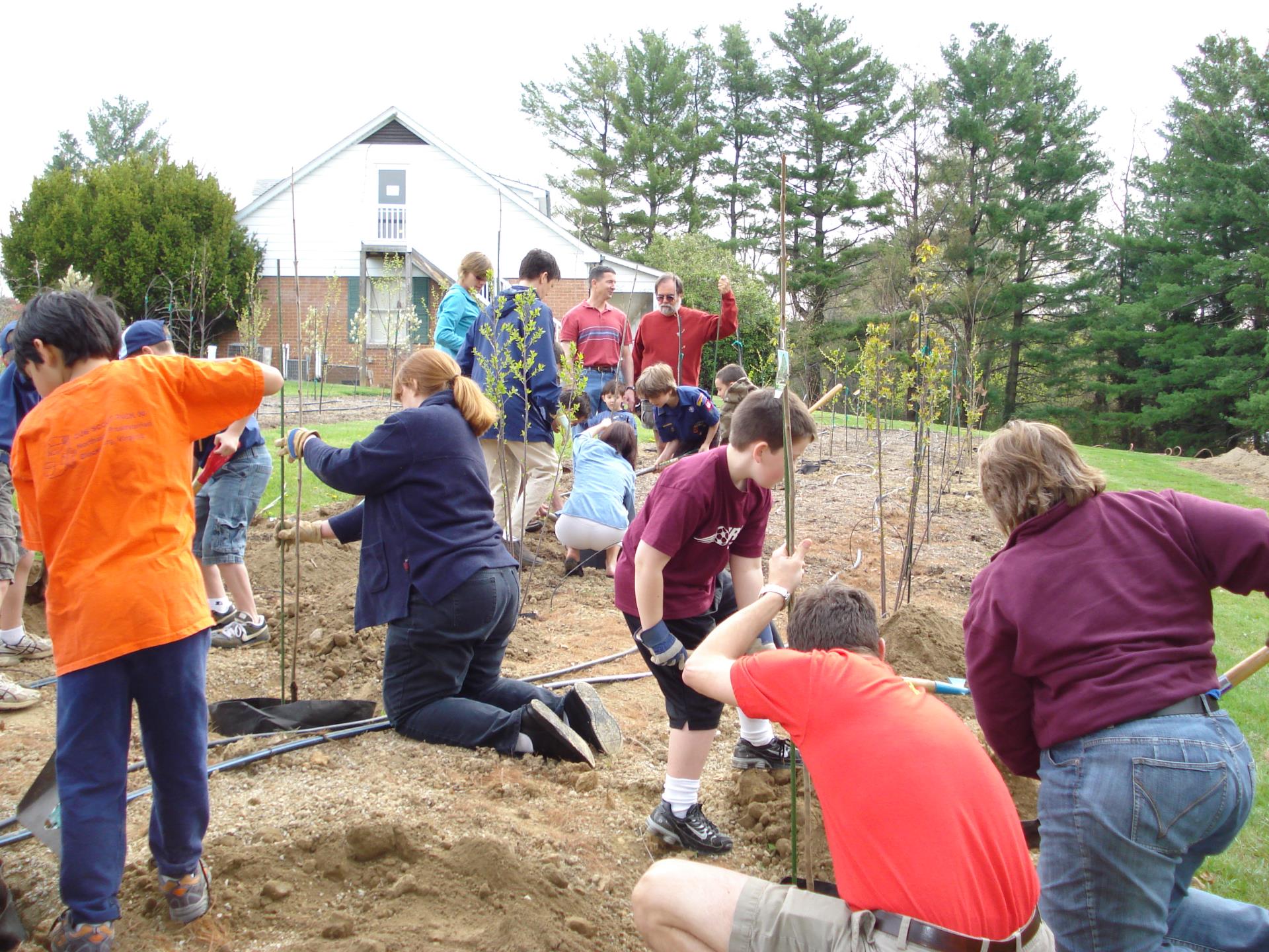 Citizens plant trees in the town's tree nursery