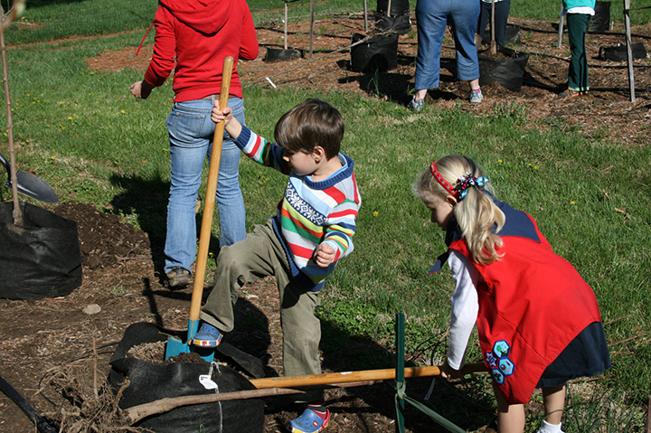 A young boy and girl planting a tree with shovels