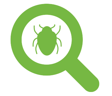 magnifying glass icon showing bug