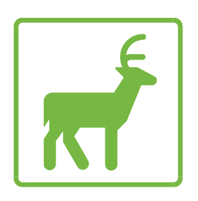 picture icon of deer