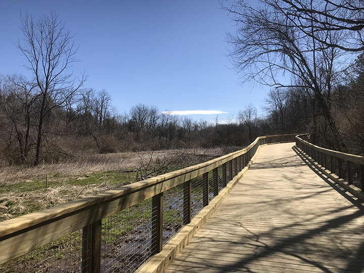 Huckleberry Boardwalk over the wetland