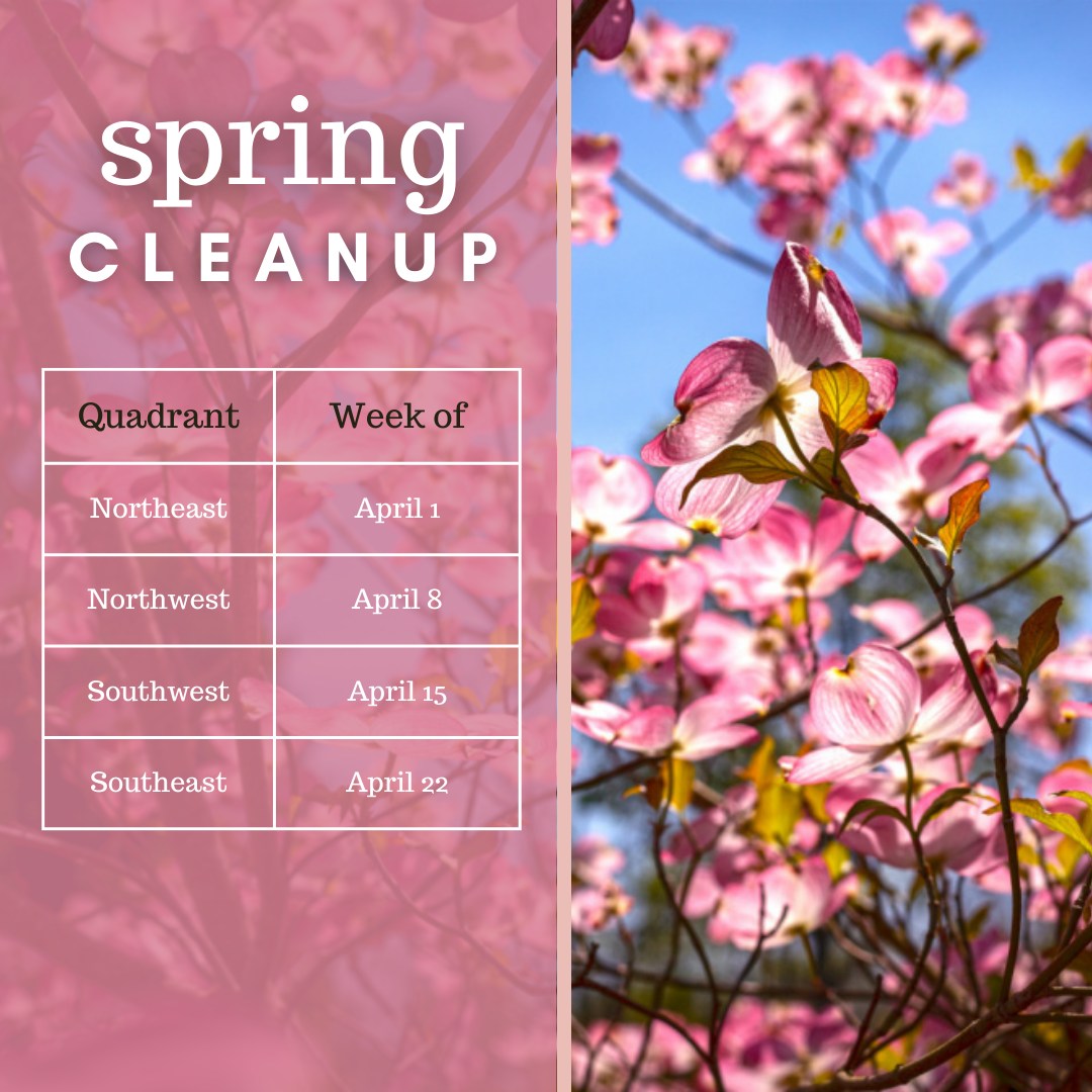 Spring Cleanup