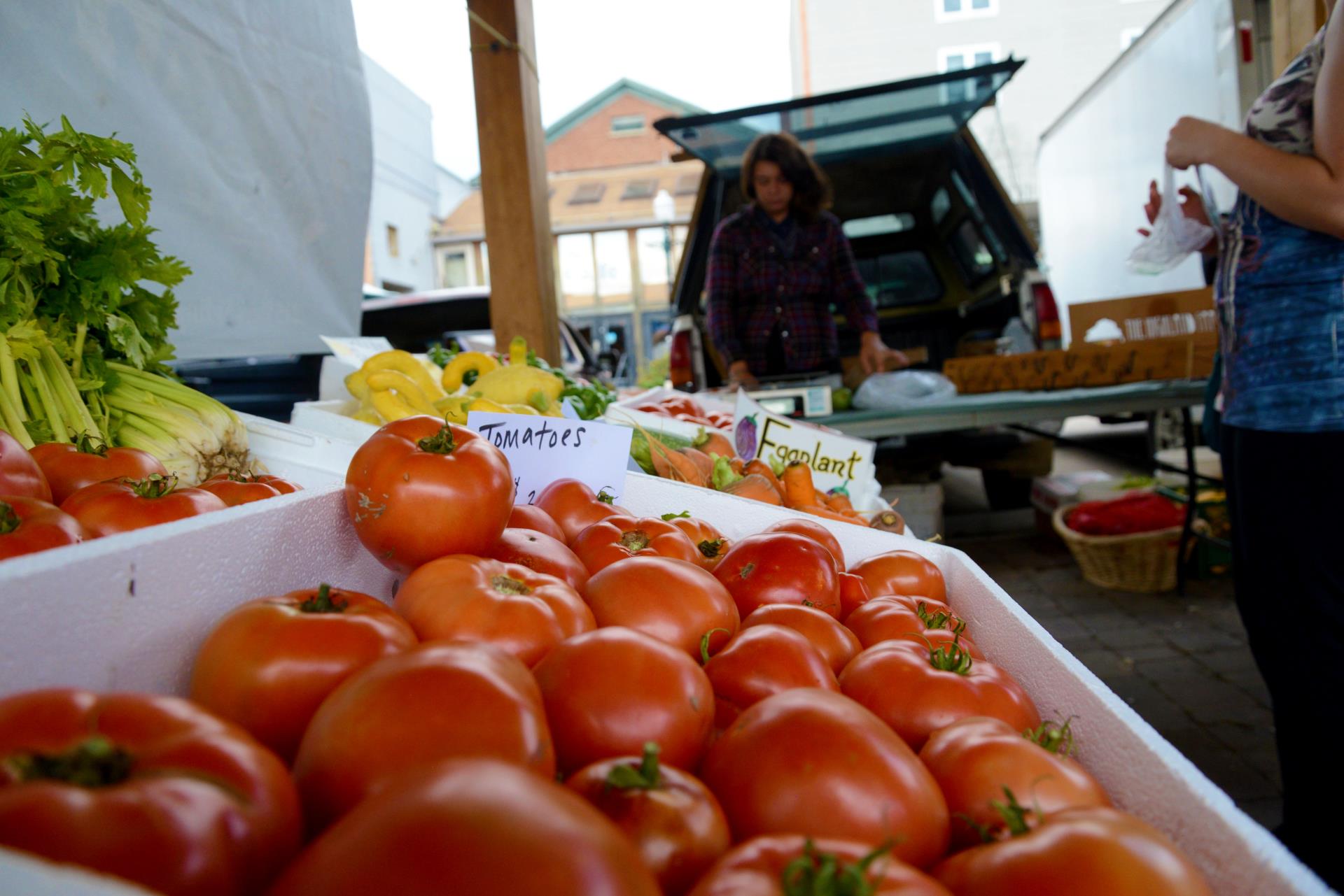 Tomato Tasting